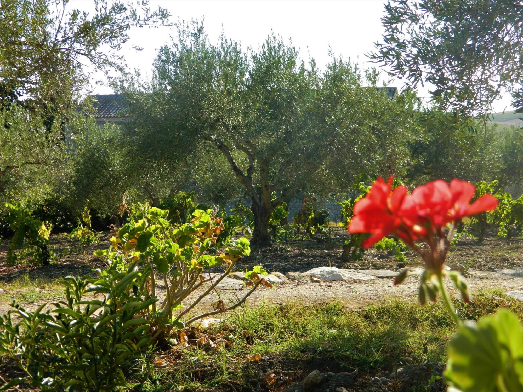 Baglio Anaste Hotel Buseto Palizzolo Luaran gambar